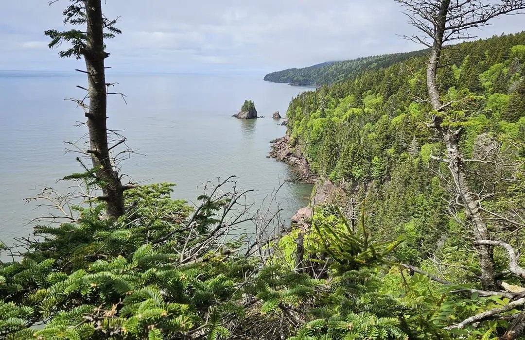 해안 전망대 (Coastal Lookoffs)